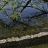 _DSC0038-Copier-