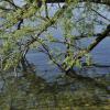 _DSC0039-Copier-