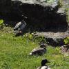 _DSC0041-Copier-