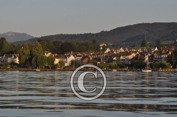 _DSC0054-Copier-