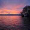 _DSC0110 (Copier) (2)