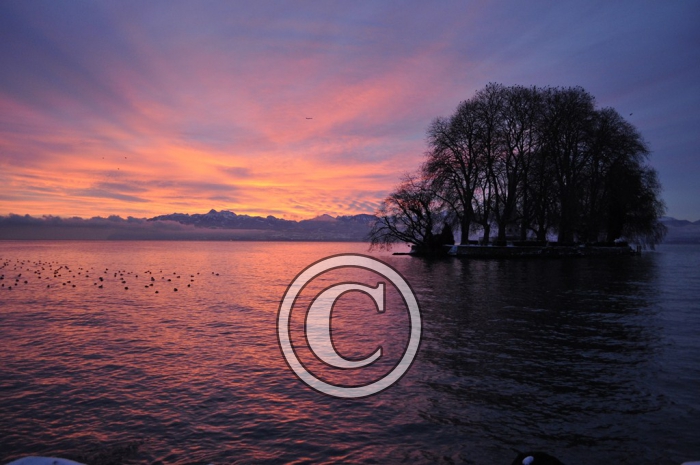 _DSC0110 (Copier) (2)