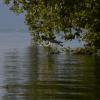 _DSC0978-Copier-