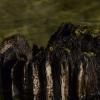 _DSC1012-Copier-