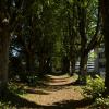 _DSC1311-Copier-