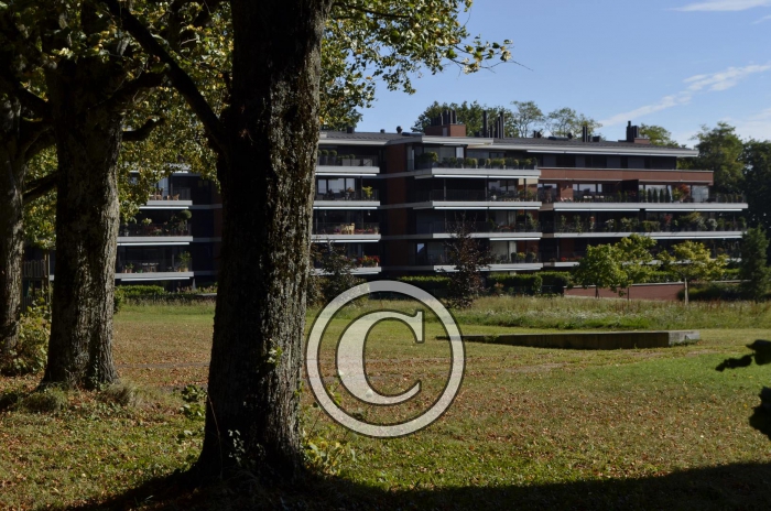 _DSC1313-Copier-