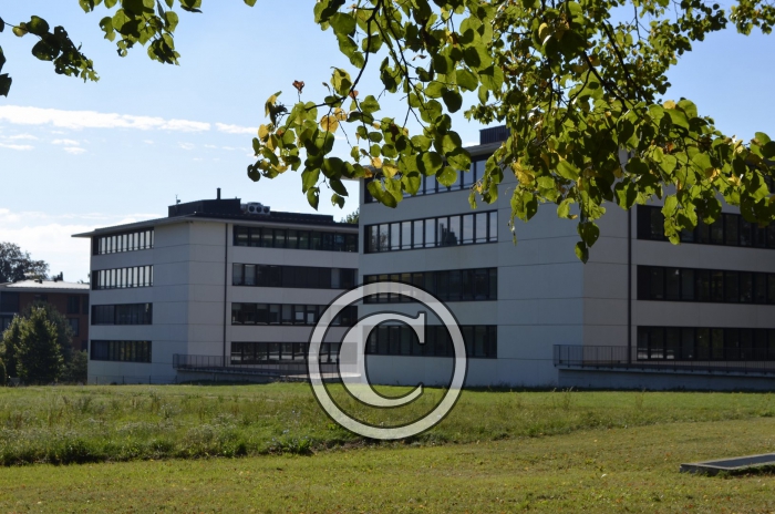 _DSC1320-Copier-