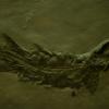 DJP_2855-Copier-