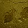 DJP_2860-Copier-