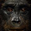 DJP_2874-Copier-